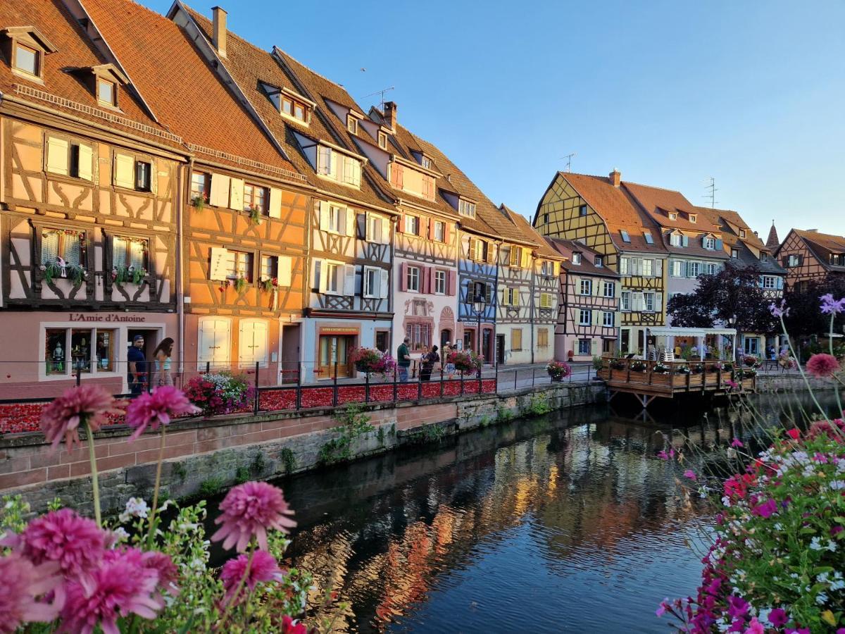 Home La Petite Porte - Petite Venise - Кольмар Екстер'єр фото