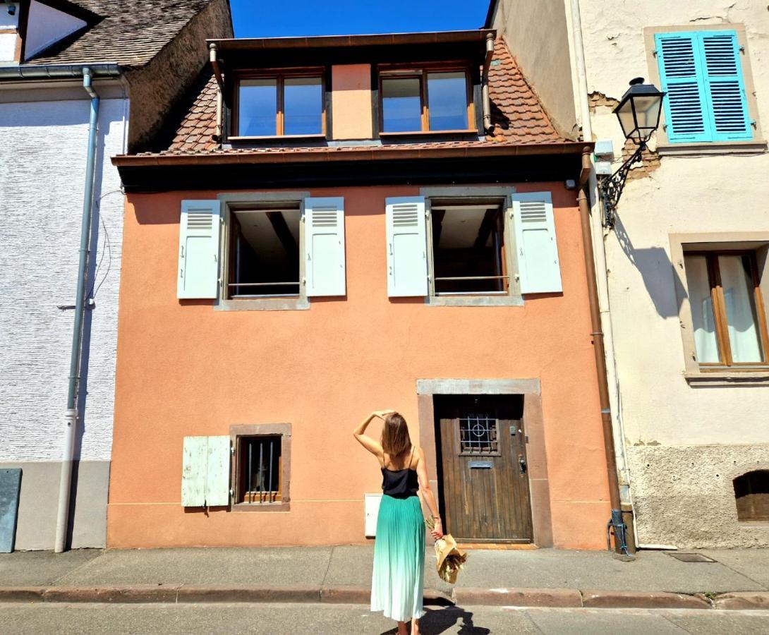 Home La Petite Porte - Petite Venise - Кольмар Екстер'єр фото